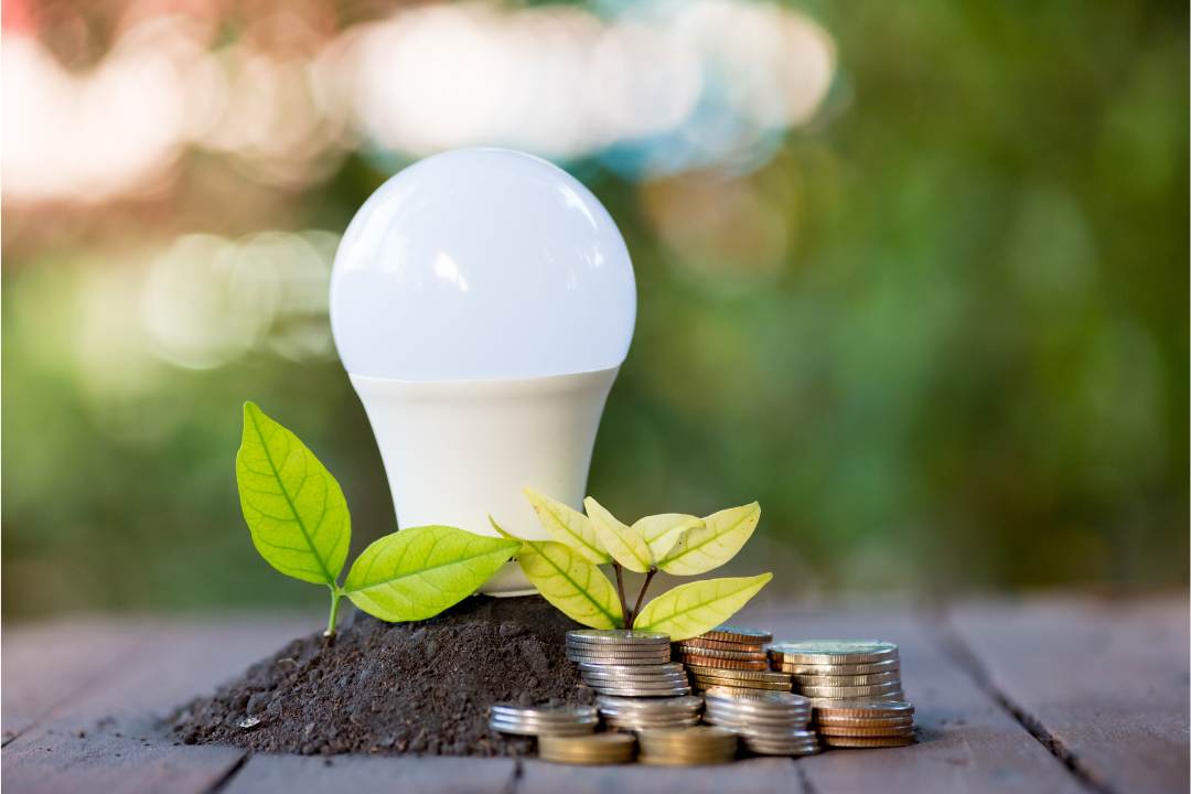 a light bulb, with plants and coins